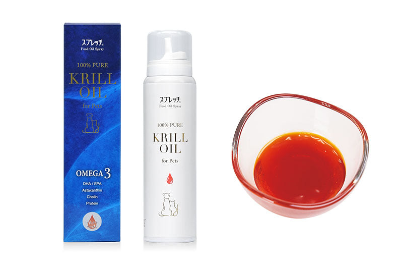 お知らせ – ブルすけのおみせ